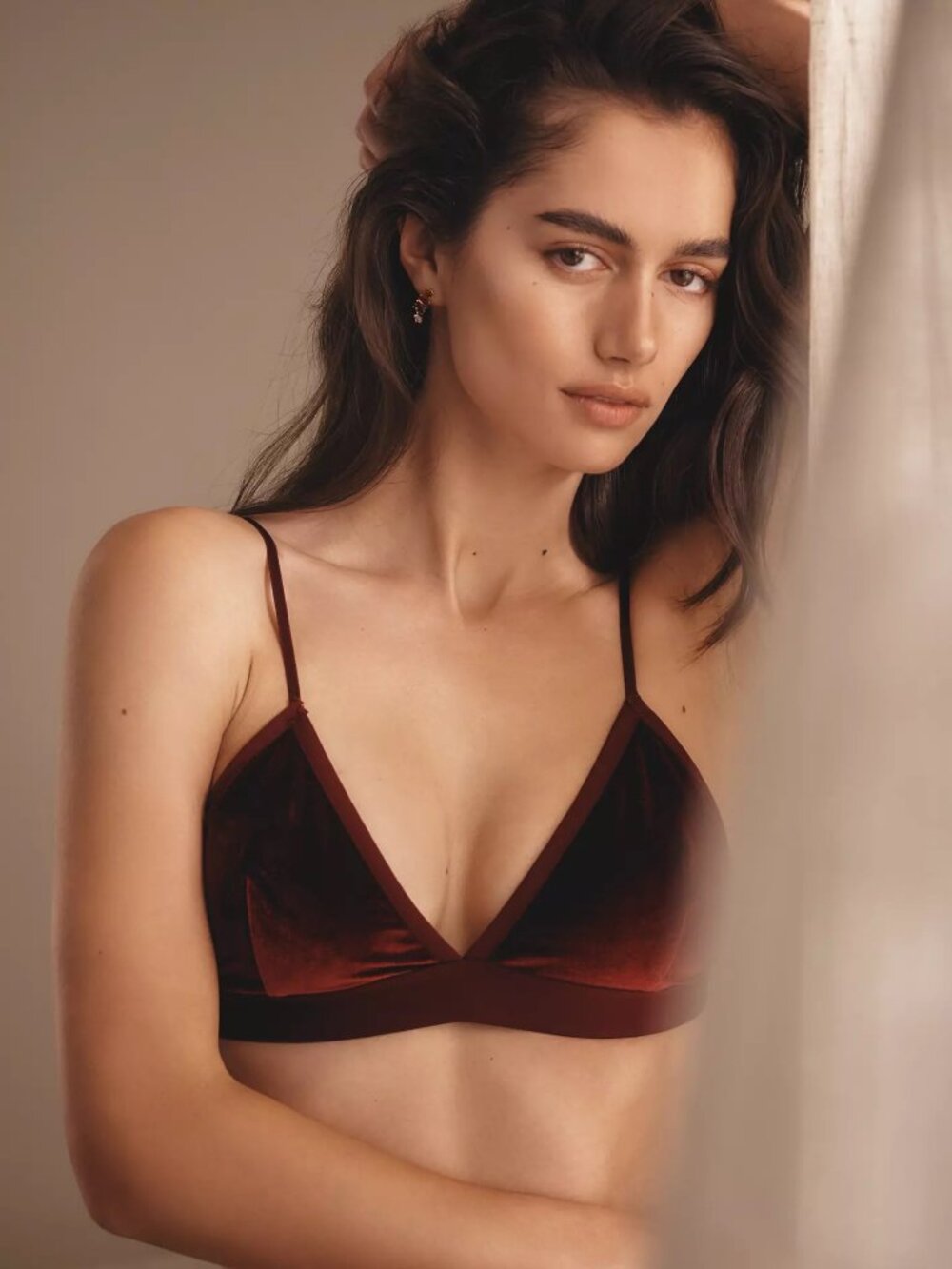 By Anthropologie Velvet Triangle Bra - Size L